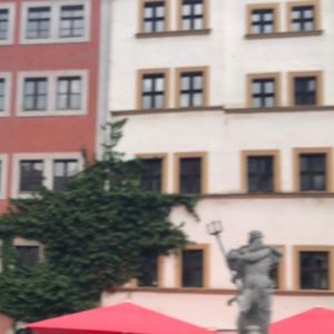 Meet your Posher, Delaney